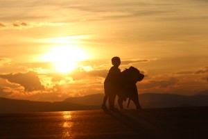 Img 4341 300x200