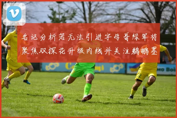 名记分析若无法引进字母哥绿军将聚焦双探花升级内线并关注鹈鹕墨菲