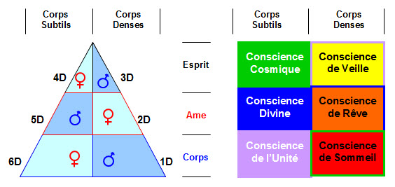 Conscience 3