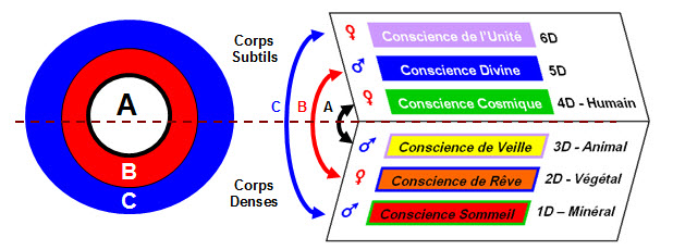 Conscience 4