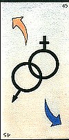 Oracle ge 15 les symboles sexuels